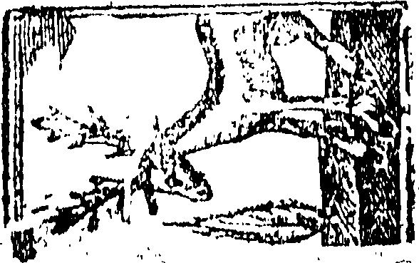 104/104450510000010_0.png