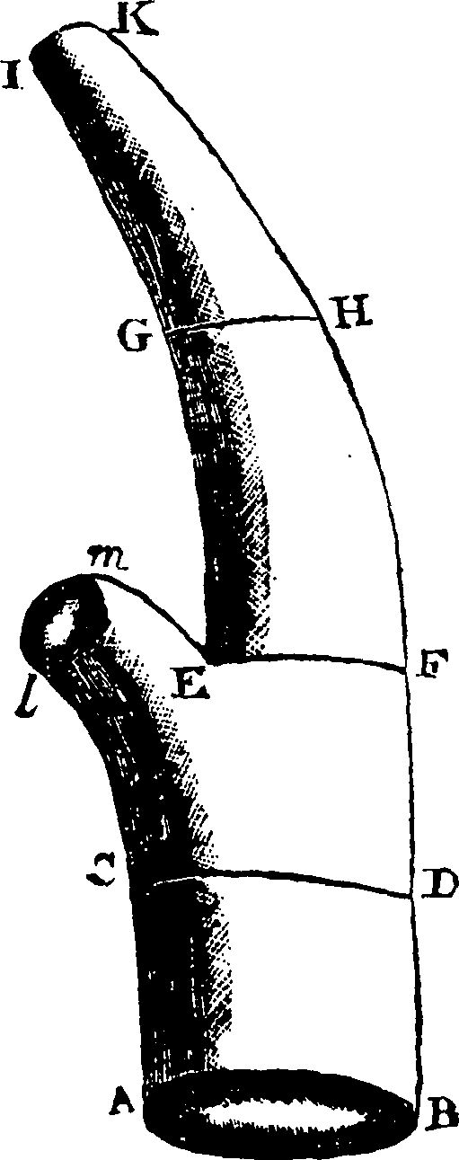 104/104470010003250_0.png