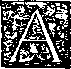 104/104470050000020_0.png