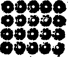 104/104480010000020_0.png