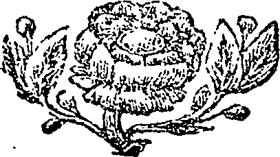 104/104490030000630_0.png