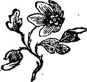 104/104490120001320_0.png