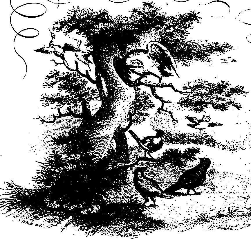104/104500060000010_0.png