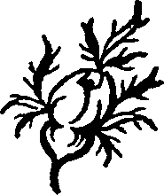 104/104500060000230_0.png
