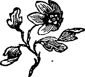 104/104500060000280_0.png