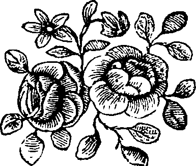 104/104500060000390_0.png