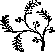 104/104500060000520_0.png