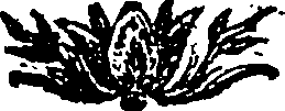 104/104550070000080_0.png