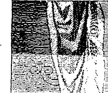 104/104570060000010_1.png