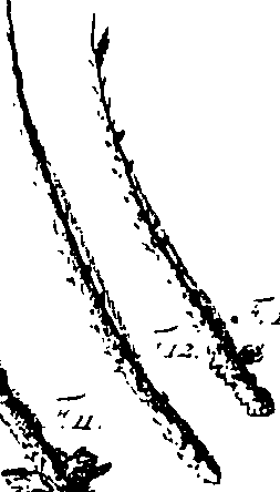104/104620030000280_1.png