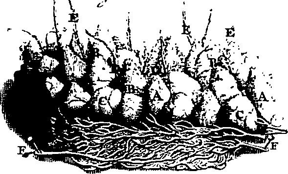 104/104620030000280_2.png