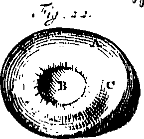 104/104620030000430_0.png