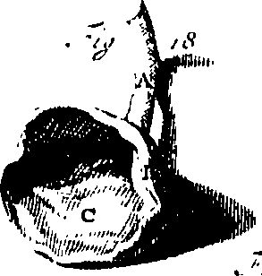 104/104620030000430_2.png