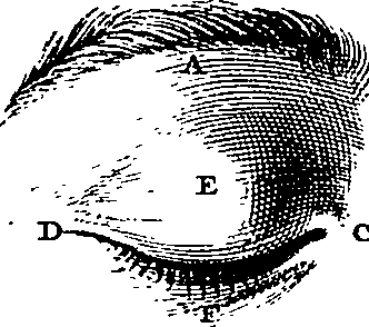 104/104620030000430_4.png