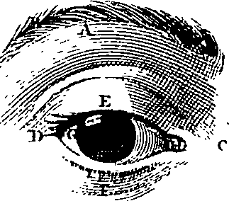 104/104620030000430_5.png