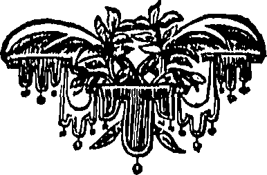 104/104620030000450_0.png