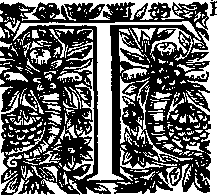 104/104620030000460_0.png