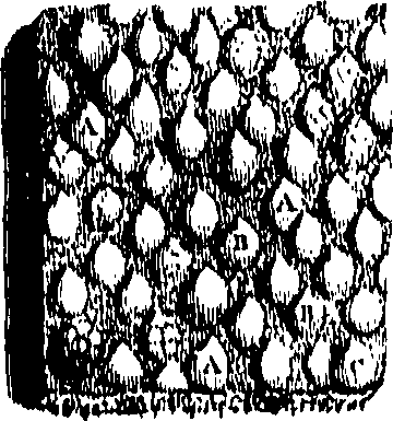 104/104620030000470_0.png