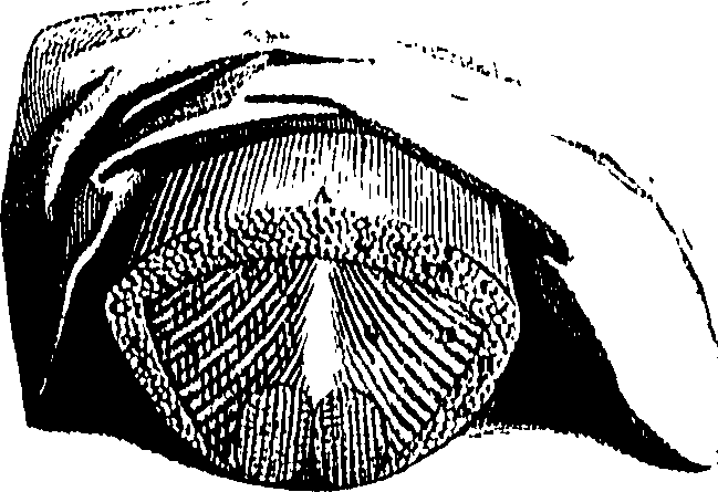 104/104620030000470_1.png