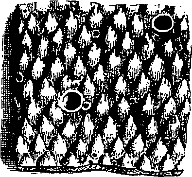 104/104620030000470_3.png