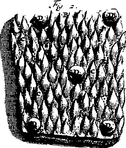 104/104620030000470_4.png