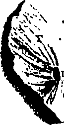 104/104620030000480_0.png