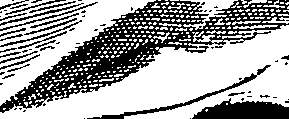 104/104620030000480_1.png