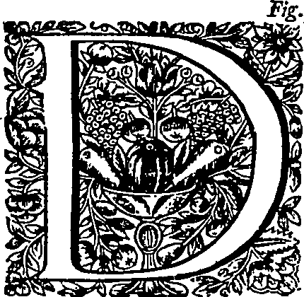 104/104620030000500_0.png