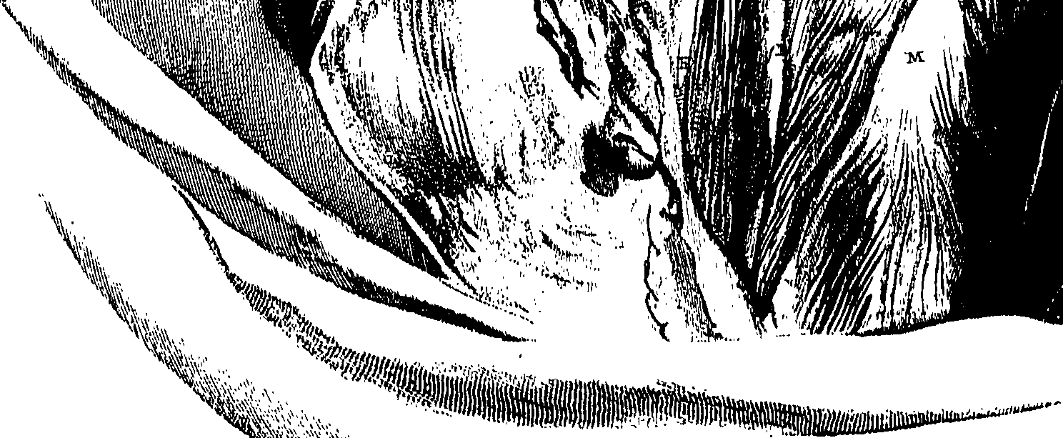 104/104620030000520_0.png