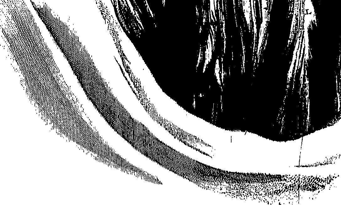 104/104620030000550_0.png