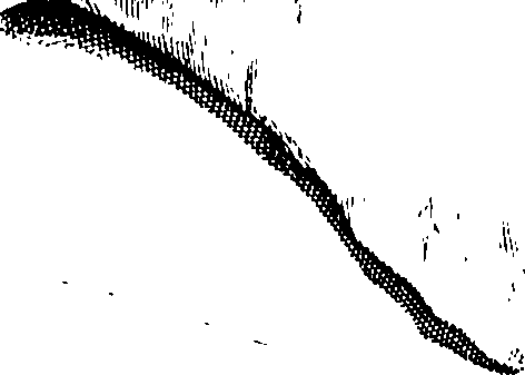 104/104620030000600_1.png