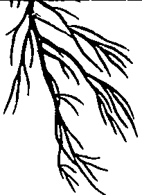 104/104620030000680_2.png
