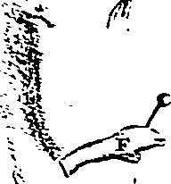 104/104620030000690_0.png