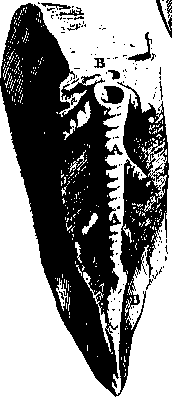 104/104620030000700_0.png