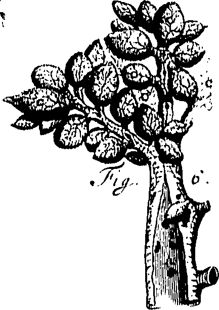 104/104620030000730_0.png