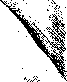 104/104620030000790_0.png
