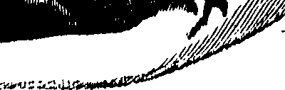 104/104620030000800_0.png