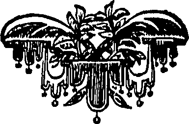 104/104620030000810_0.png