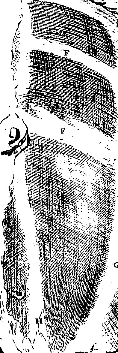 104/104620030000870_1.png