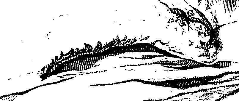 104/104620030000880_1.png