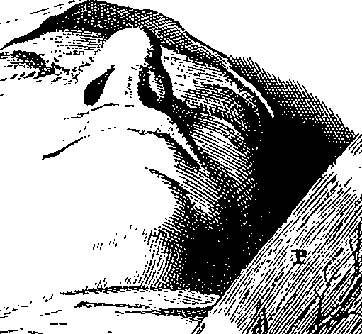 104/104620030000880_3.png