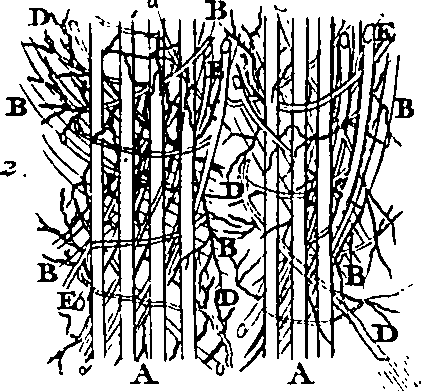 104/104620030000880_4.png