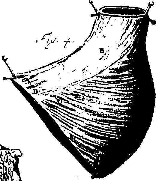 104/104620030000950_0.png