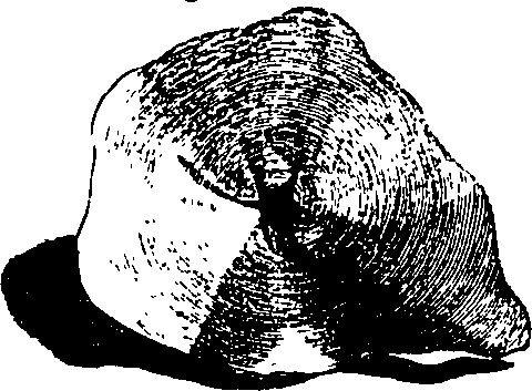 104/104620030000950_1.png