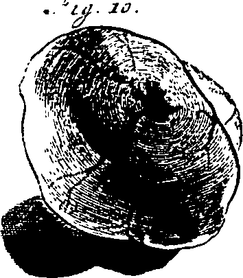 104/104620030000950_2.png