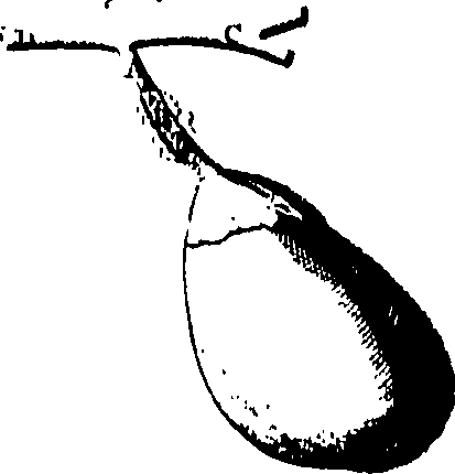 104/104620030001000_0.png