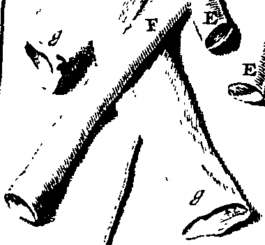 104/104620030001080_0.png
