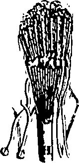 104/104620030001110_0.png