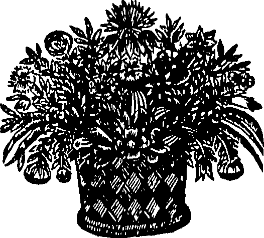 104/104620030001140_0.png