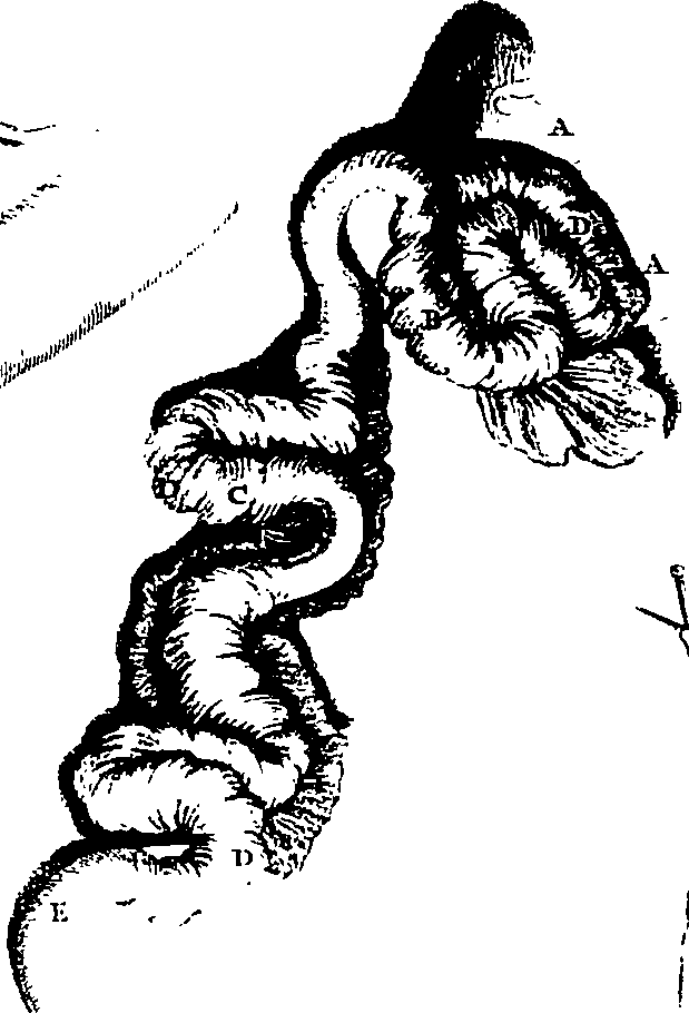104/104620030001150_0.png